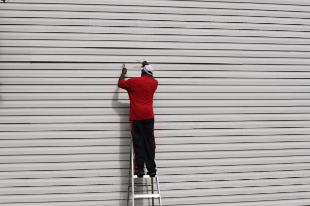 Best Siding Maintenance  in Rutland, VT